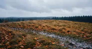 Prognoza na dziś: wietrznie w Bydgoszczy, przelotny deszcz