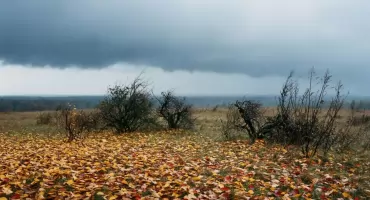 Pogoda na dziś: pochmurna Bydgoszcz, mżawka o świcie