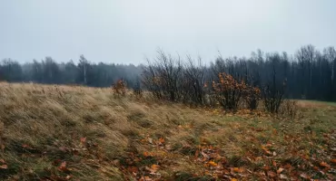 Pogoda na dziś: chmury, przelotny deszcz i wiatr w Bydgoszczy