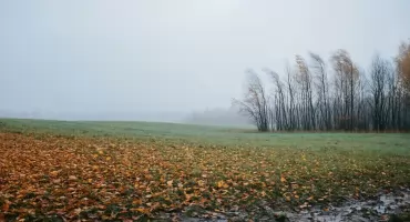 Prognoza na dziś: pochmurna Bydgoszcz, bez kropli deszczu