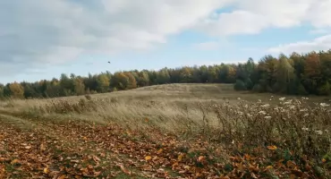 Prognoza pogody na dziś: słońce i sucho w Bydgoszczy
