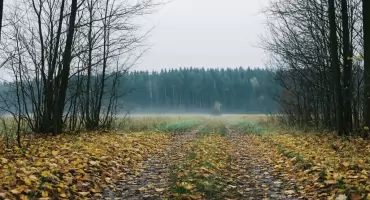 Pogoda na dziś w Bydgoszczy: szaro, sucho i spokojnie