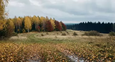 Pogoda na dziś Bydgoszcz: słońce rano, po południu chmury