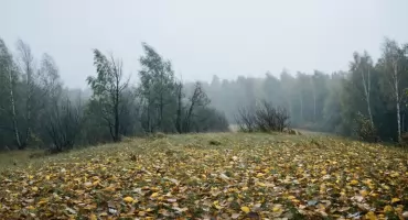 Prognoza na dziś: Bydgoszcz pod chmurą i z przelotnym deszczem