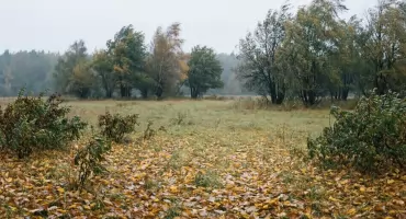 Prognoza na dziś: dużo chmur i przejaśnienia — Bydgoszcz